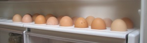 A weeks worth of eggs